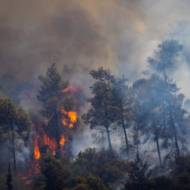 forest fire