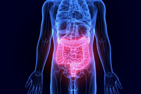 intestinal tract