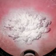 frozen tumor