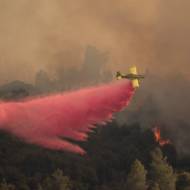 forest fire