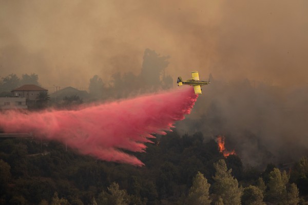 forest fire