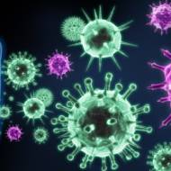 Immunotherapy