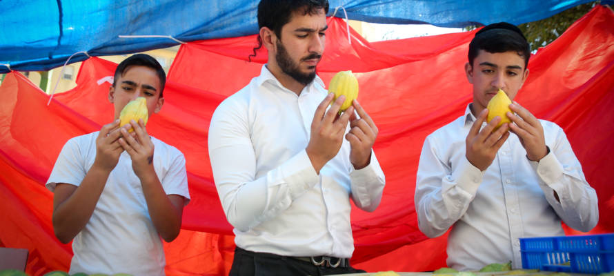 Etrog