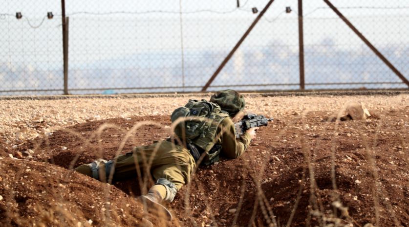 search palestinian terrorists