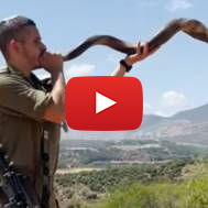 IDF