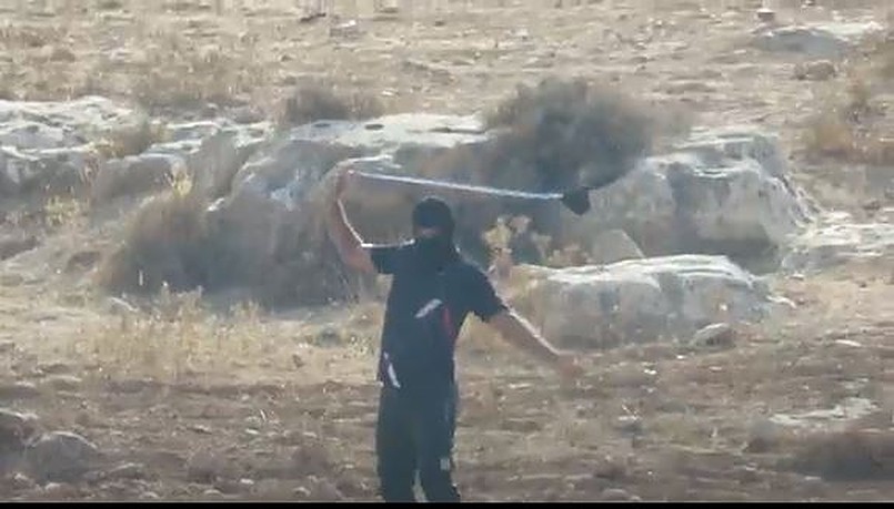 Rock-throwing Palestinian Arab terror