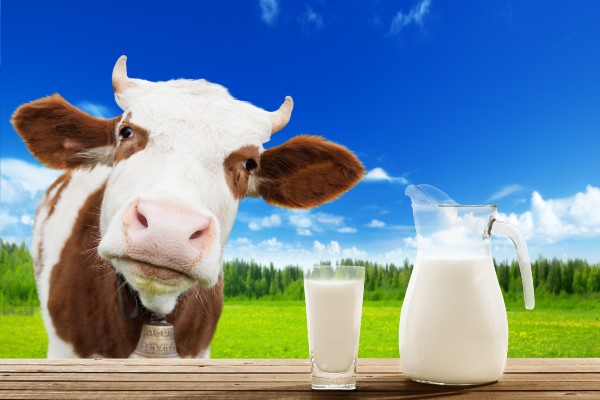 milk