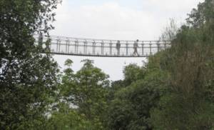 Nesher_Park_Nesher-768x466