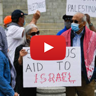 anti-israel protesters