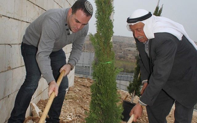 Palestinian tree planting