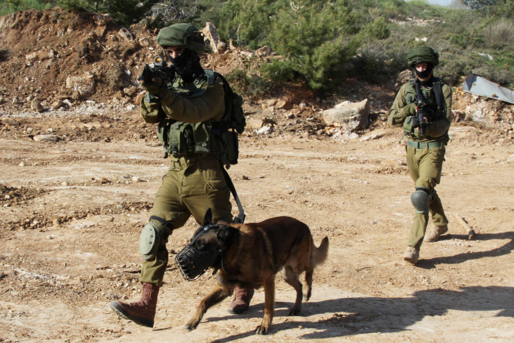 IDF Canine Unit