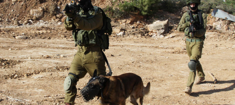 IDF Canine Unit