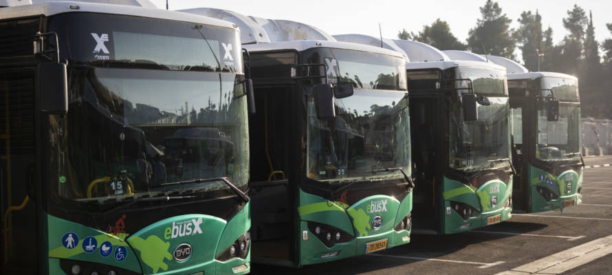 buses