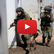 IDF Soldiers