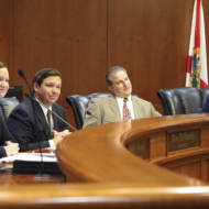 Ron DeSantis Nikki Fried