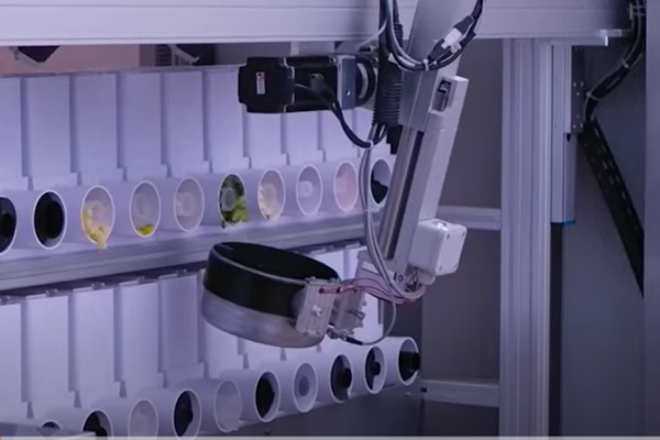 Beastro Robot