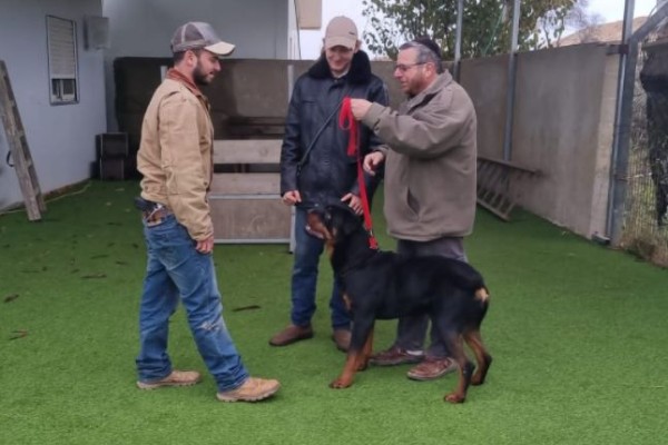 Israel Dog Unit