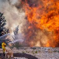forest fire