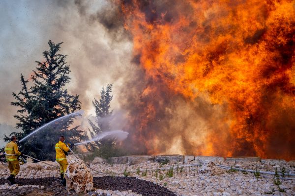 forest fire