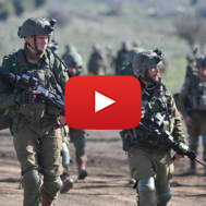 IDF