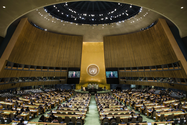 United Nations General Assembly