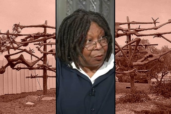 Whoopi Goldberg