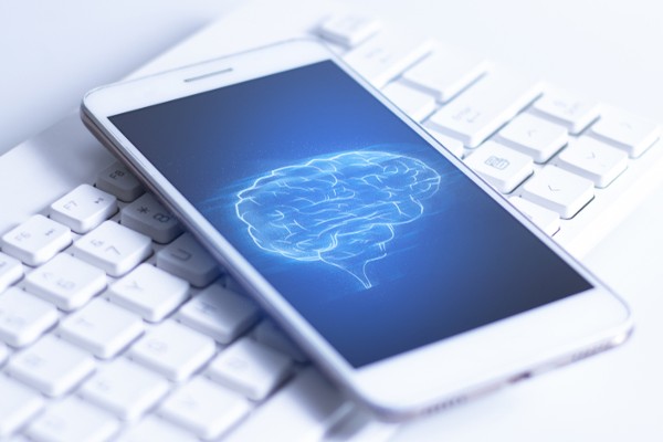 brain