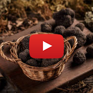 Truffles