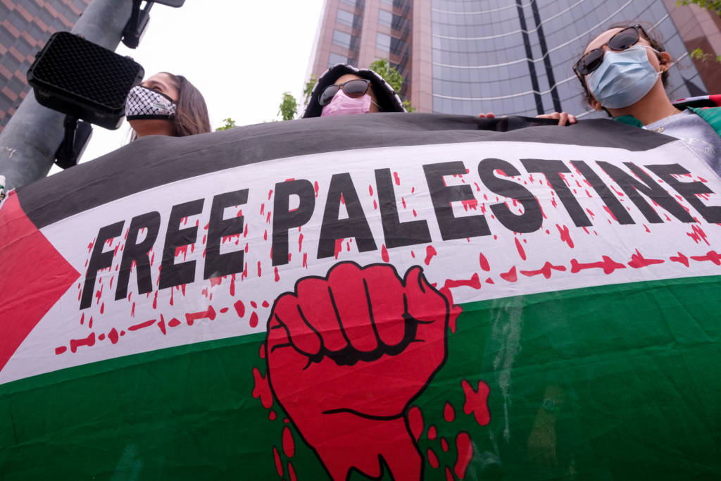 anti-Israel protesters