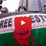 anti-Israel protesters