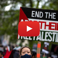 Anti-Israel Protesters