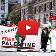 BDS demonstration