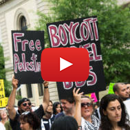 BDS