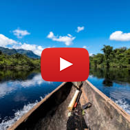 Amazon River
