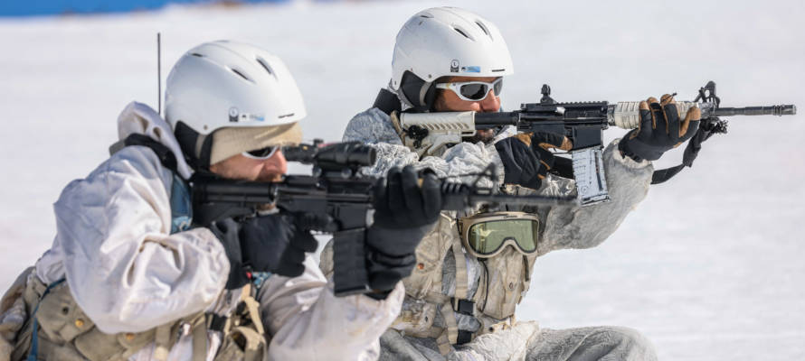 IDF Alpinist Unit