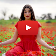 Anemone fields