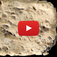 Ancient Tablet