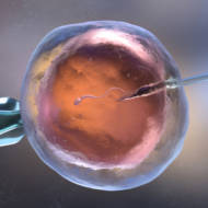 fertility