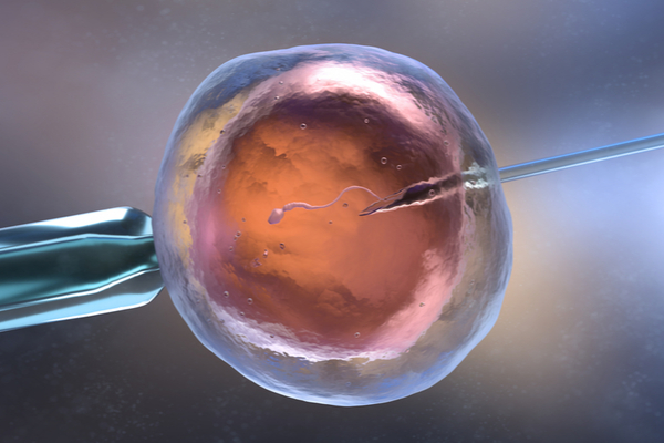 fertility