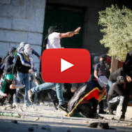 Palestinian terrorist