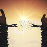 freedom