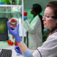 Lab-grown meat