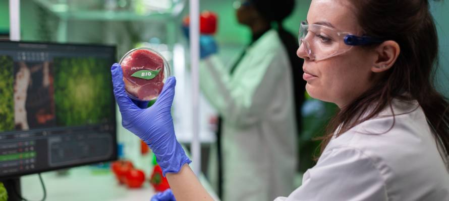 Lab-grown meat