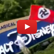 Nazi flag