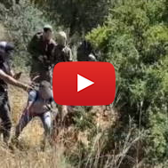 Elad Terrorists Caught