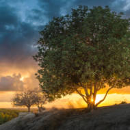 Tel Azekah
