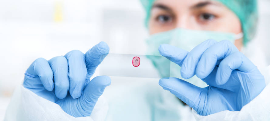 checking medical test