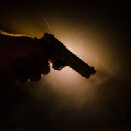 Gun