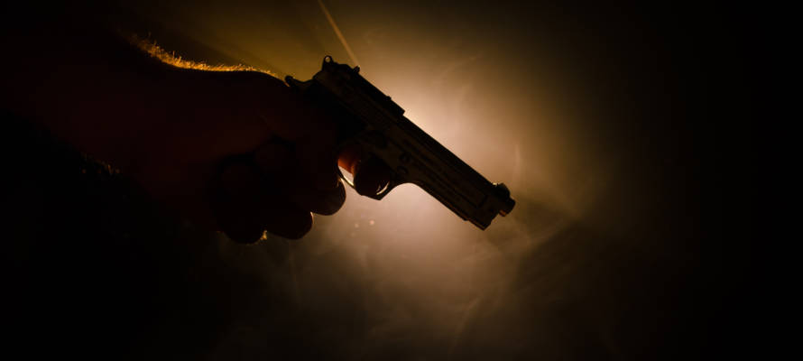 Gun