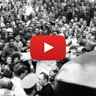 Pope Pius XII